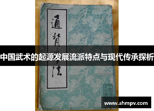 中国武术的起源发展流派特点与现代传承探析