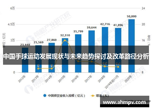 中国手球运动发展现状与未来趋势探讨及改革路径分析